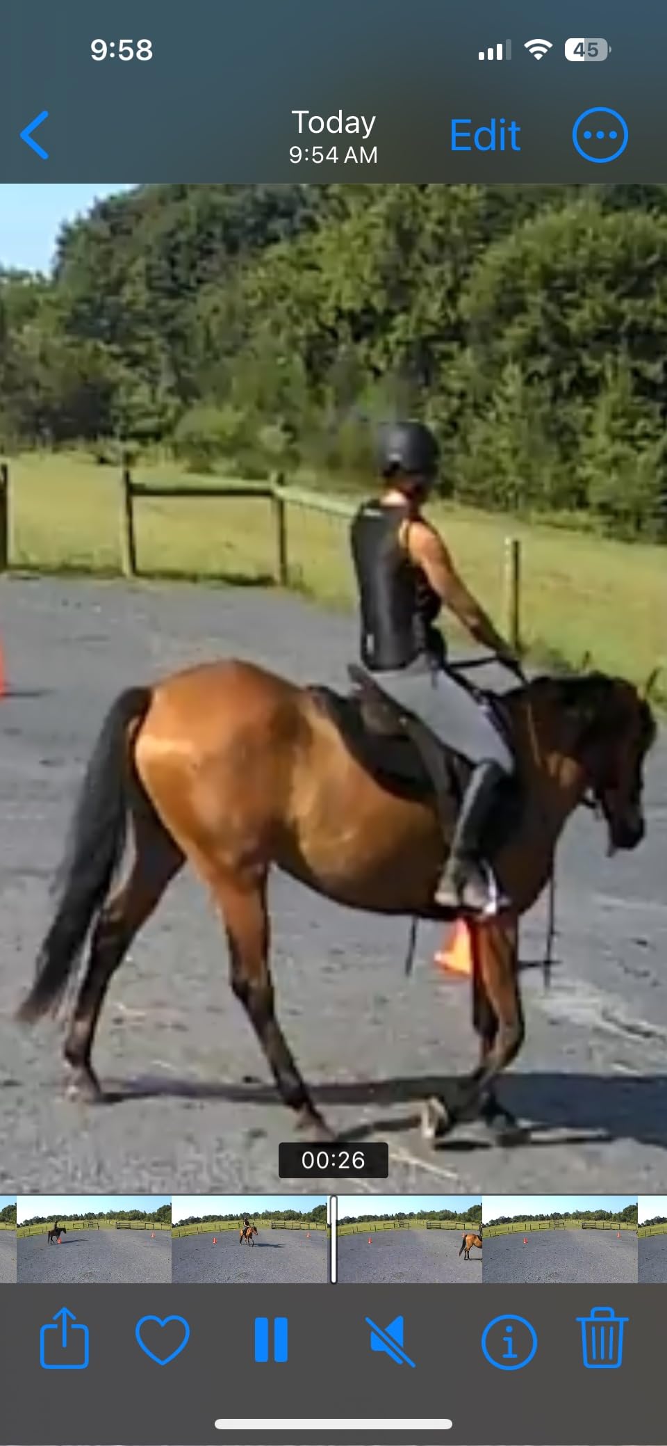 Wintec Pro HART Endurance Saddle customer photo 1