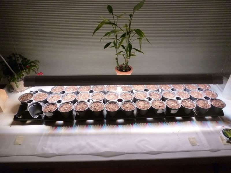 FREELICHT 1Pack 4FT Grow Light for Indoor Plants, 60W=350W, Full Spectrum customer photo 2