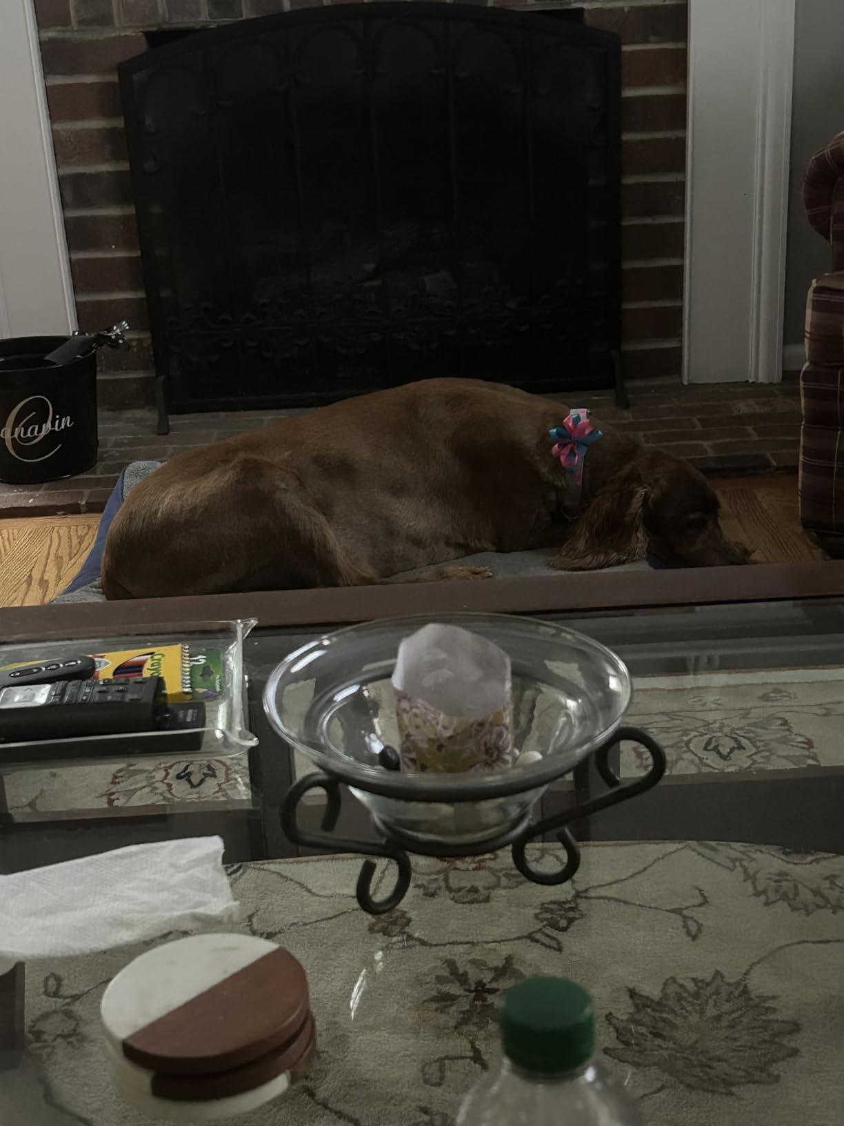 Bedsure Washable Dog Beds Large Sized Dog with Comfy Sherpa, 36x27in Grey customer photo 1