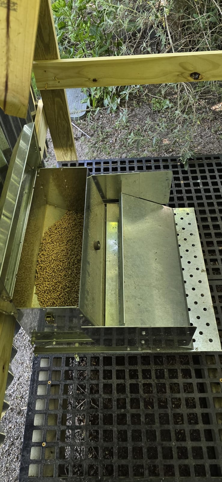 RentACoop Automatic Treadle Chicken Feeder, Rat Proof No Waste, 40 lb customer photo 2