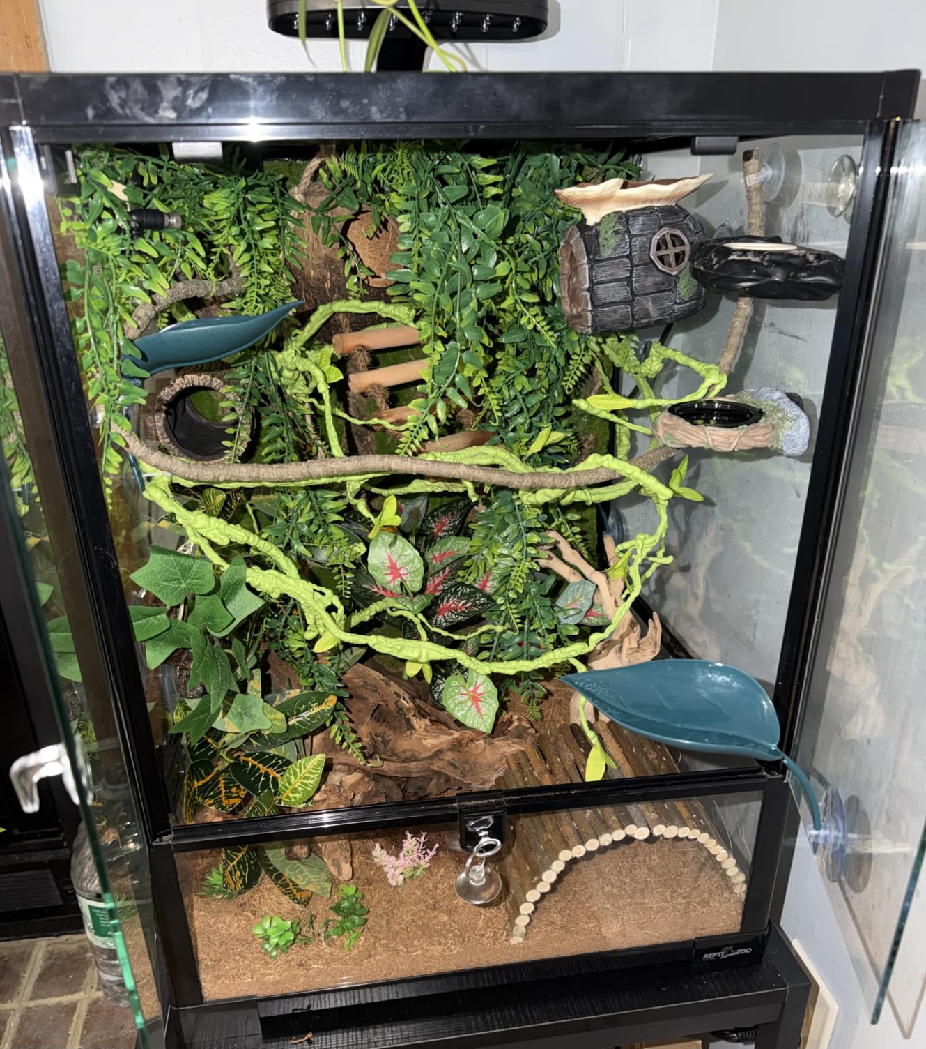 REPTI ZOO Reptile Glass Terrarium, 18