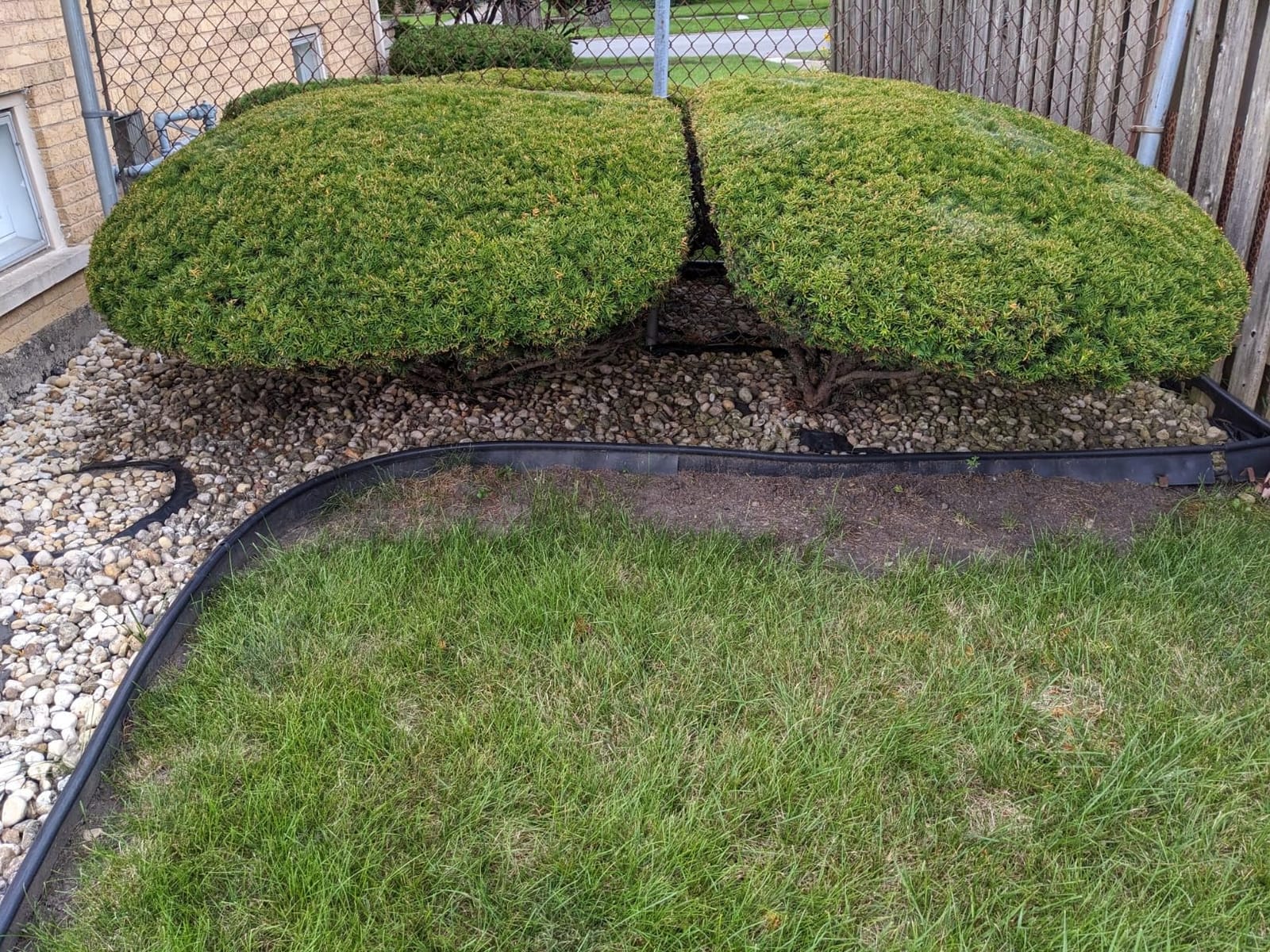 CRAFTSMAN V20 Pole Hedge Trimmer Cordless, 18-Inch, Battery and Charger Included Hedge Trimmer with Extension Pole, Up to 11 Ft Extended Reach (CMCPHT818D1) customer photo 1