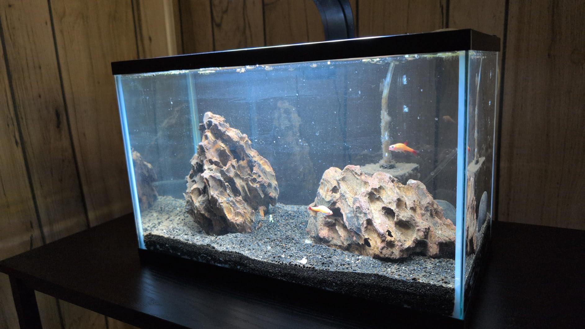 Tetra 29 Gallon Glass Aquarium, Rectangular Fish Tank customer photo 2