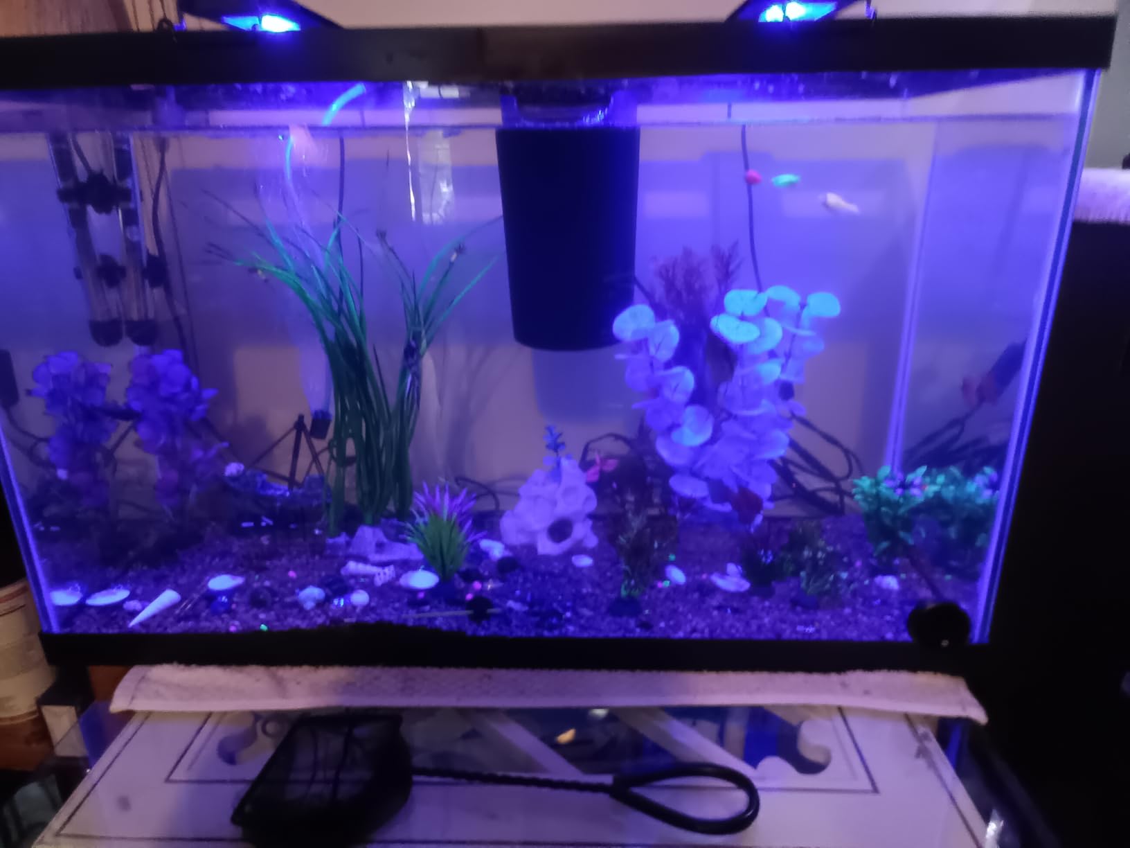 Tetra 55 Gallon Glass Aquarium, Rectangular Fish Tank | 48