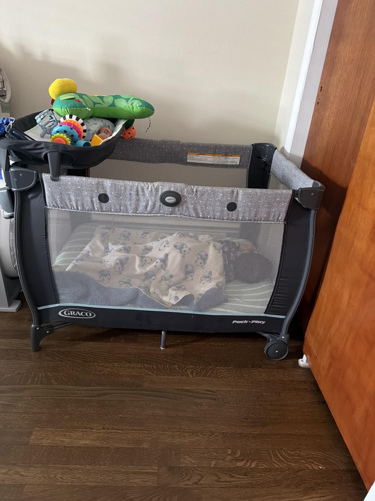 Graco Travel Dome LX Pack 'n Play Playard, Redmond customer photo 2