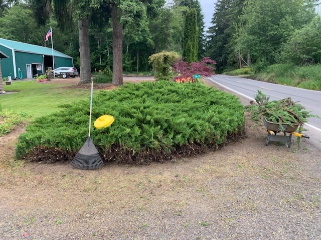 MZK 20V 22-Inch Cordless Hedge Trimmer with 2 x 4Ah Batteries customer photo 2