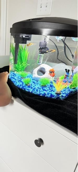 Aqueon MiniBow Small Aquarium Starter Kit, All-in-One Desktop Fish Tank for Betta, Shrimp or Small Fish, Includes SmartClean Filter Technology, LED Light and Conditioner, Black, 5 Gallon customer photo 1