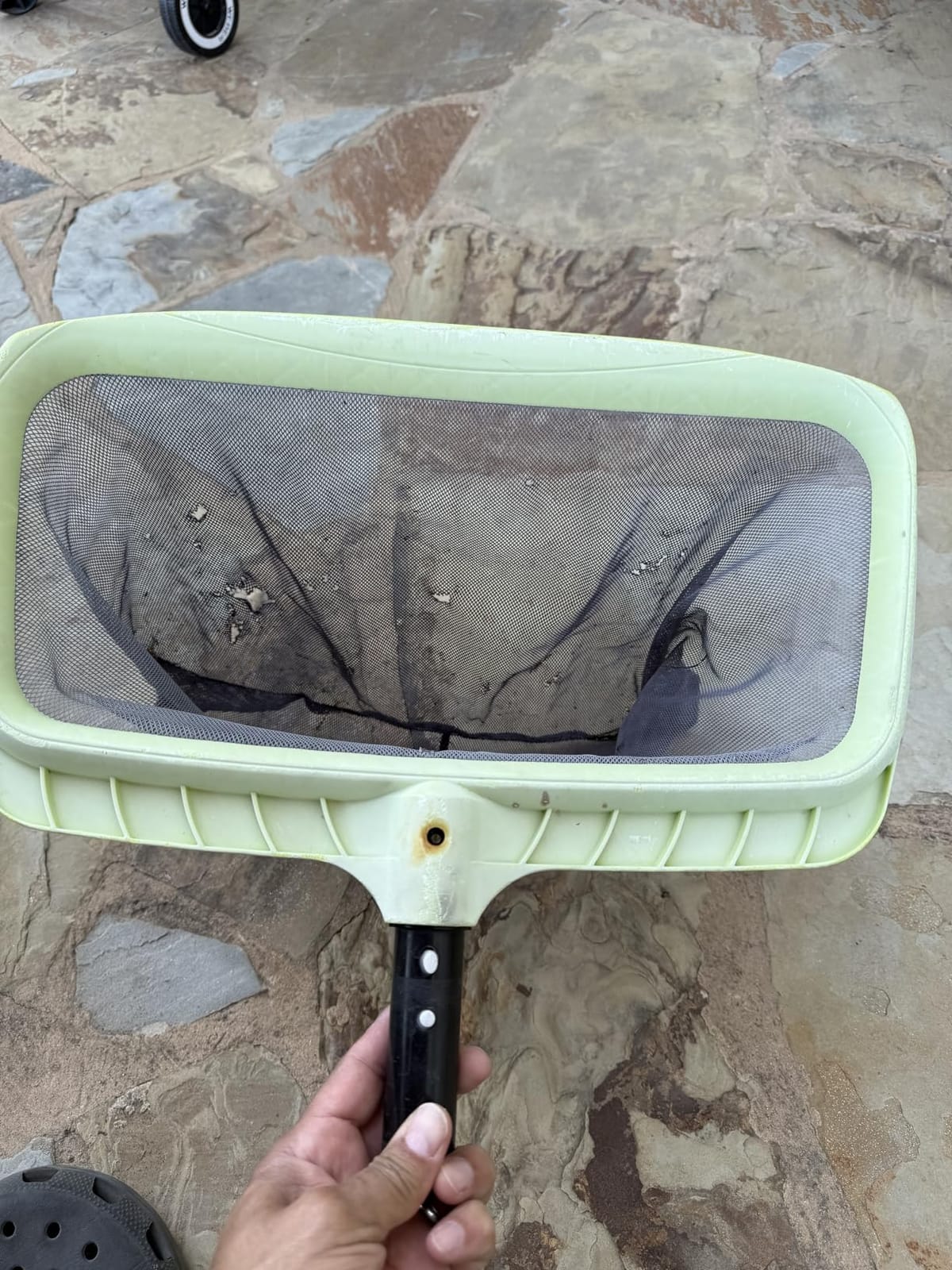 Sepetrel Swimming Pool Leaf Skimmer Net,Reinforced Frame Deep Rake Net customer photo 1