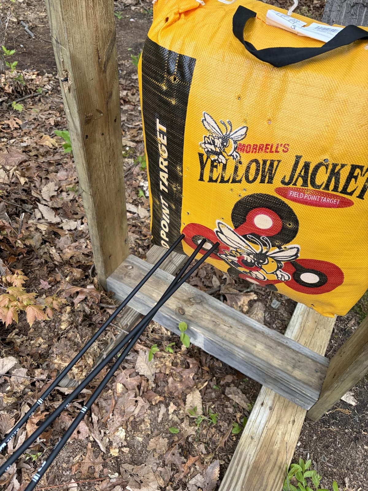 Sanlida Archery Dragon X8 RTH Compound Bow Package for Adults and Teens,18”-31” Draw Length,0-70 Lbs Draw Weight,up to IBO 310 fps,No Bow Press Needed,Limited Life-time Warranty,RH Only customer photo 1