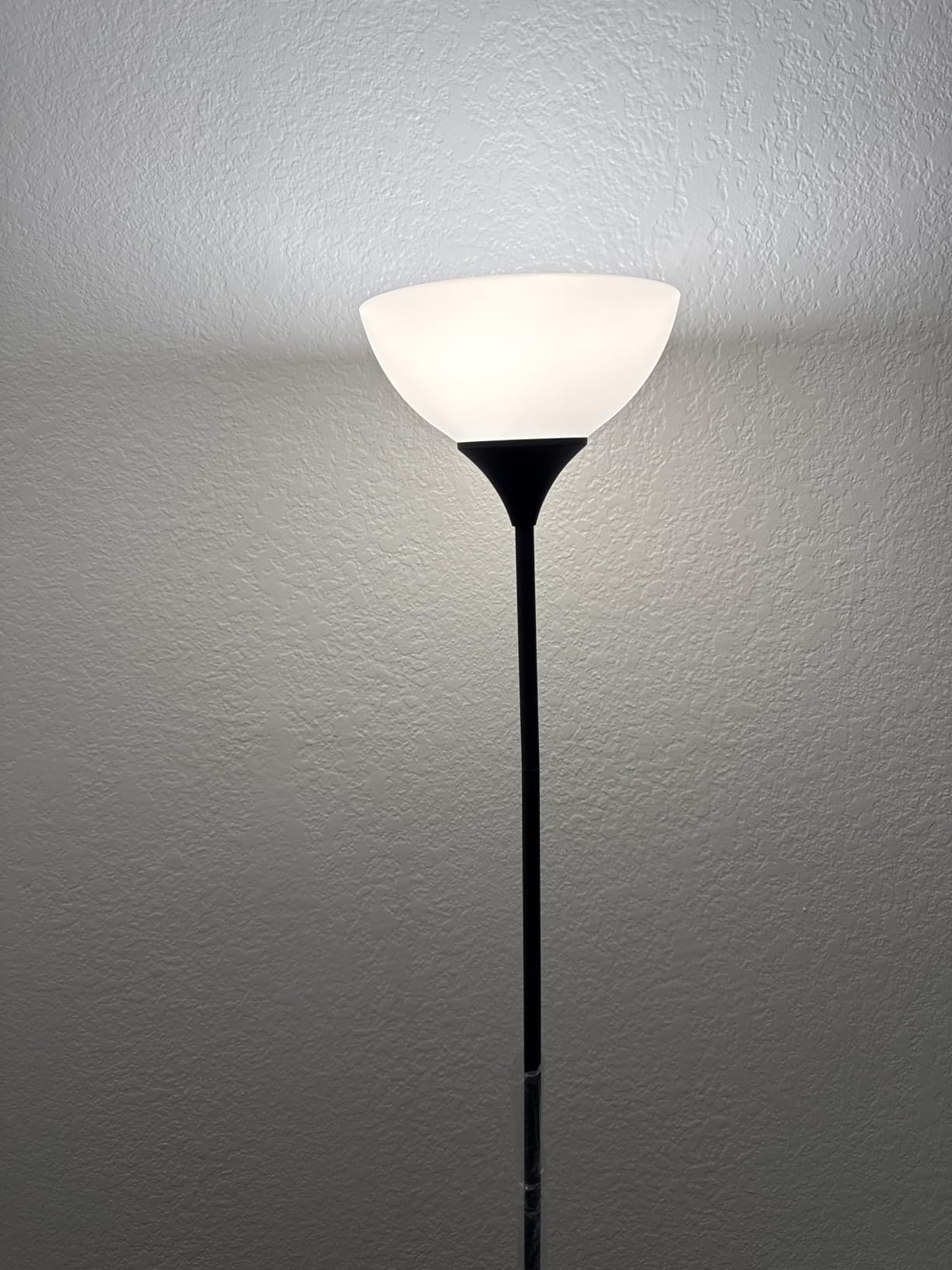 PESRAE Floor Lamp, Remote Control, Stepless Brightness & Color Temperature customer photo 1
