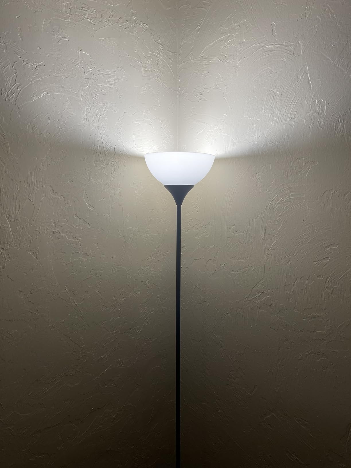 PESRAE Floor Lamp, Remote Control, Stepless Brightness & Color Temperature customer photo 2