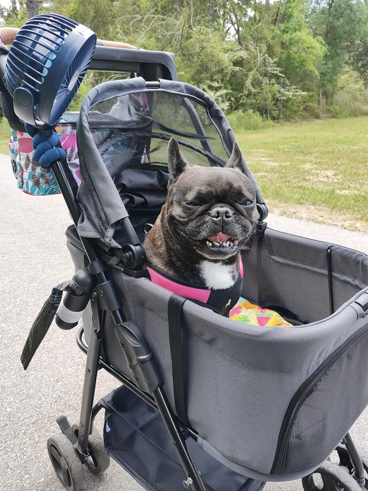 FRIZCOL 12000mAh Portable Stroller Fan 65Hours As Power Bank Baby Clip Fan customer photo 2