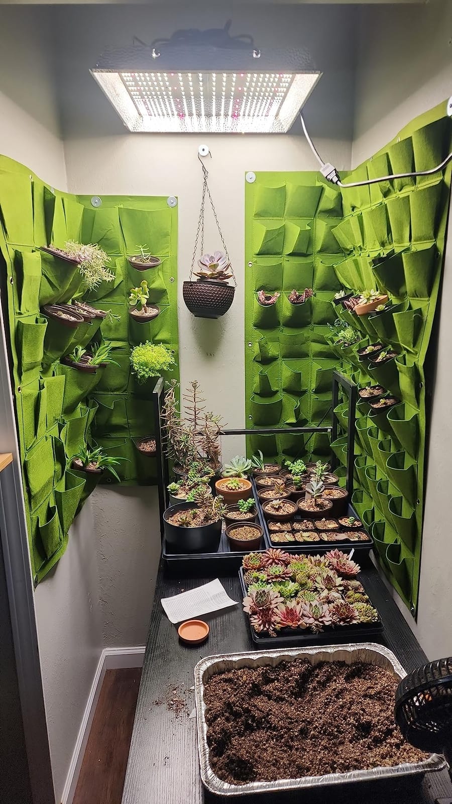 Hanging Planting Grow Bags, 90 Pockets Wall Planter Wall Mounted Grow Bag Outdoor Indoor Gardening Vertical Greening Flower Container, Planting Bags Storage Bags(1.1 m × 1.1 m, Black) customer photo 2