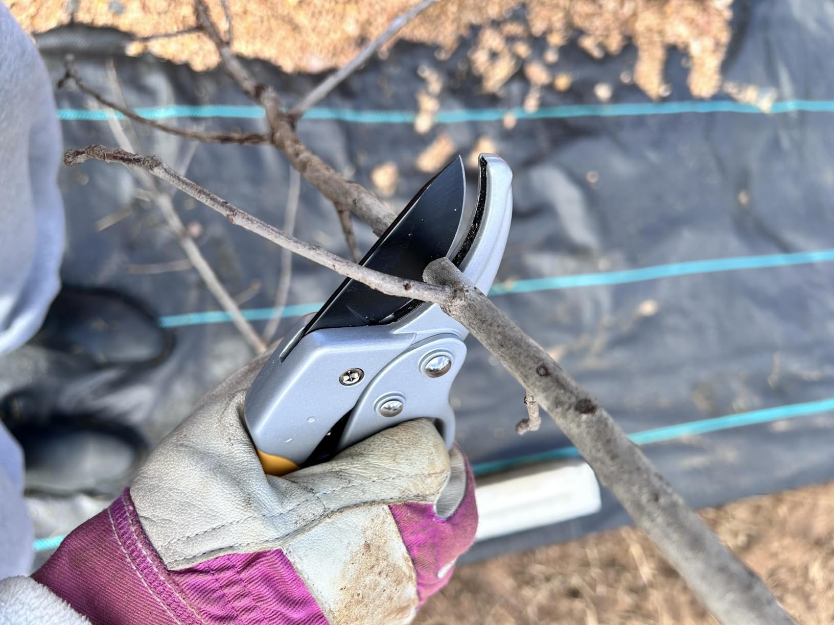 Germany Pruning Shears, Arthritis Weak Hand Snips, Pruners 4x Cutting Power Trimming, 1-Inch Cut Capacity Garden Clippers, Ergonomic, Durable and Sturdy, Sharp Scissors Gardening Tools customer photo 2