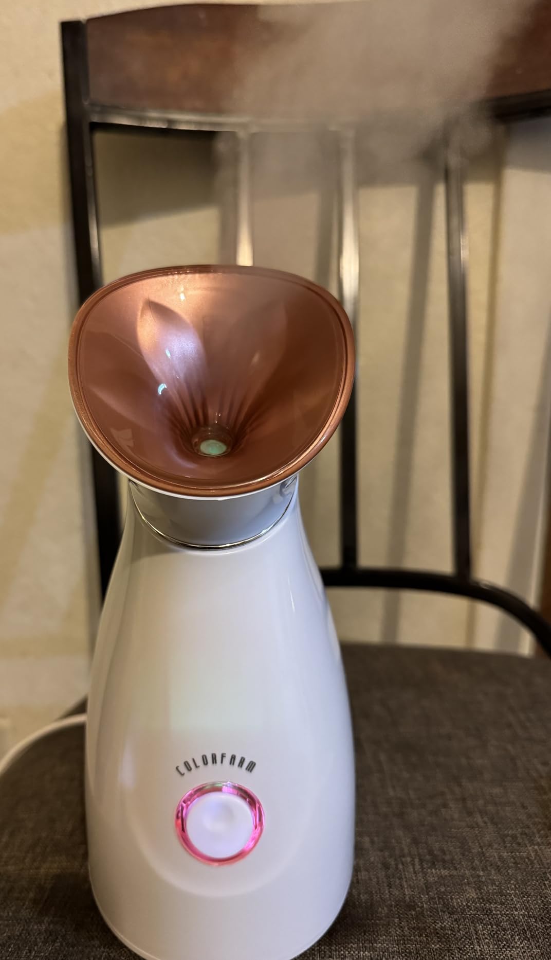 Colorfarm Facial Steamer with Nano Ionic Steam for Deep Cleaning Home Spa customer photo 2