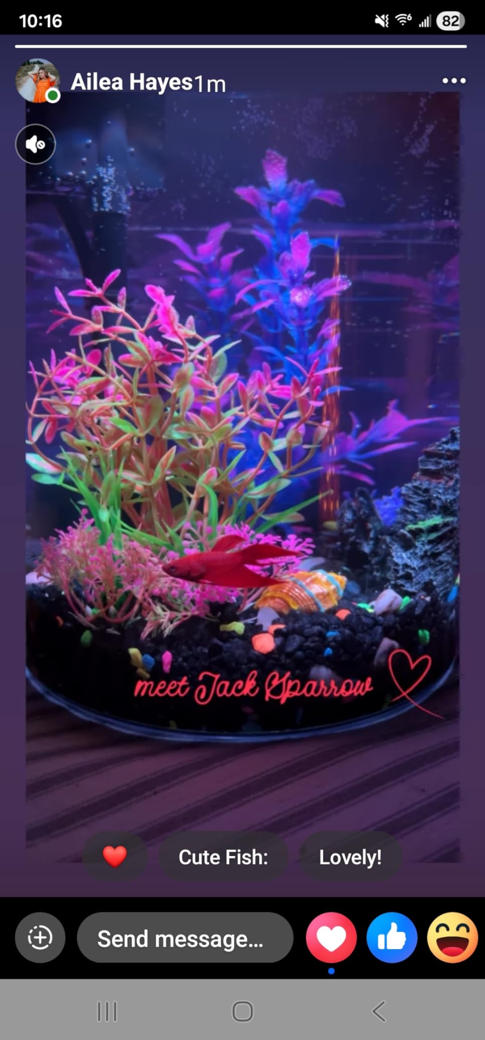 Koller Products Plastic 6-Gallon AquaView 360 Aquarium Kit for Tropical Fish, Betta Fish with LED Lighting and Power Filter Clear, 4-Piece Set customer photo 2