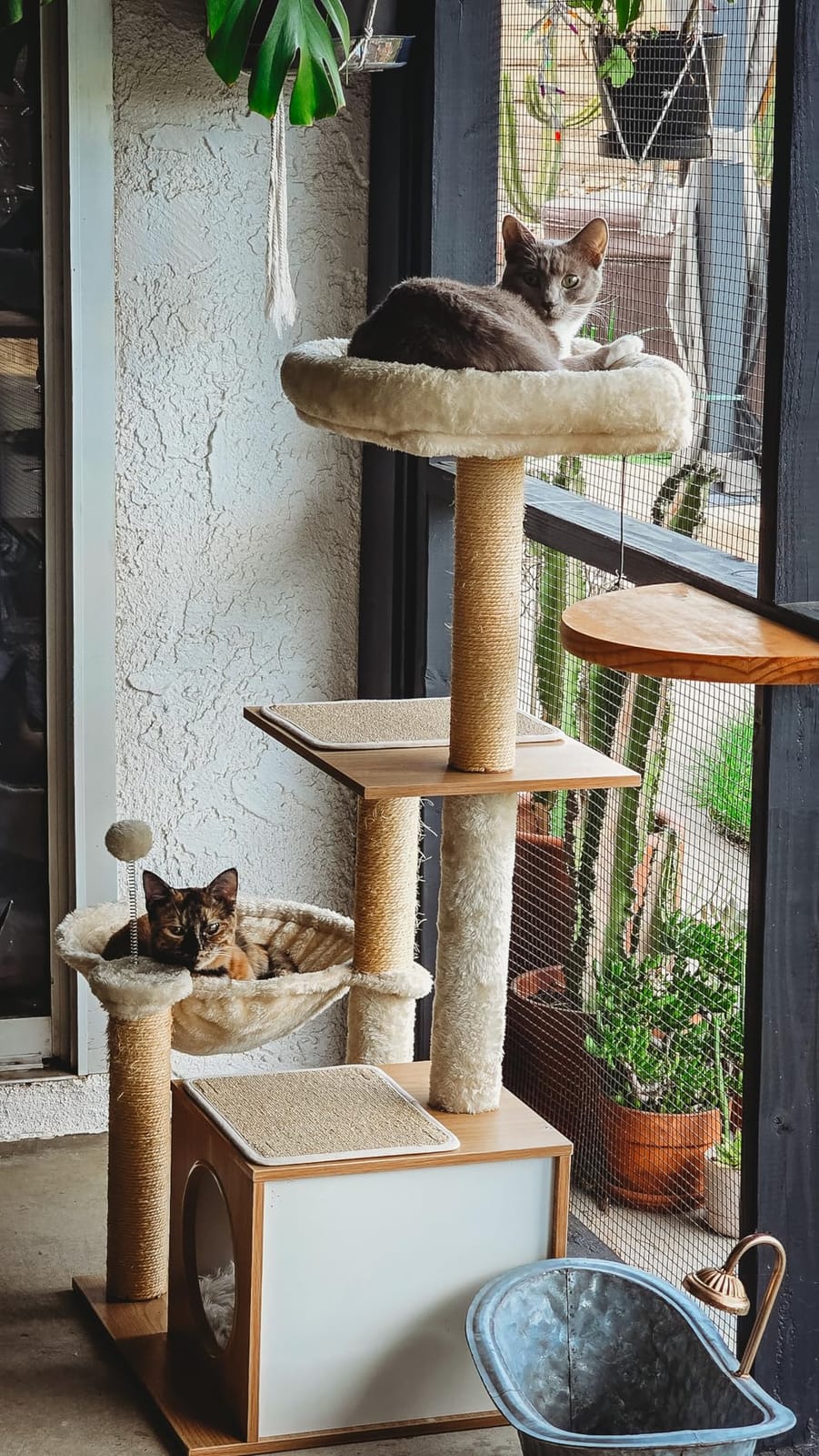 PEQULTI Modern Cat Tree, 42.5