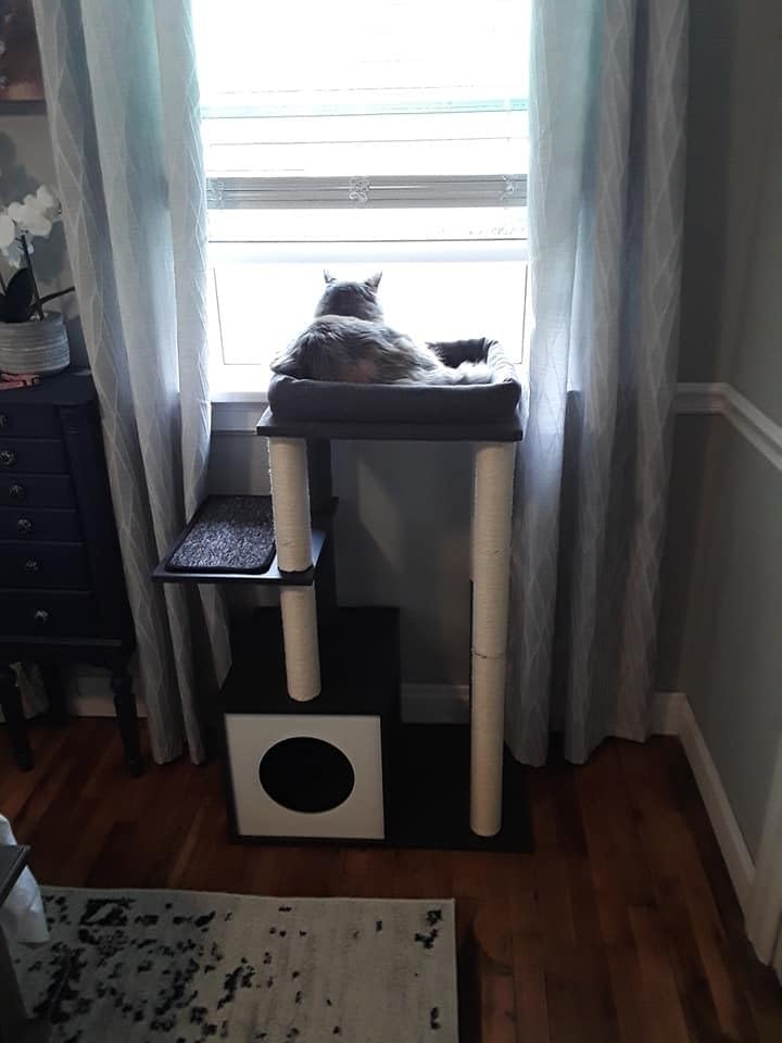 PEQULTI Modern Cat Tree, 42.5
