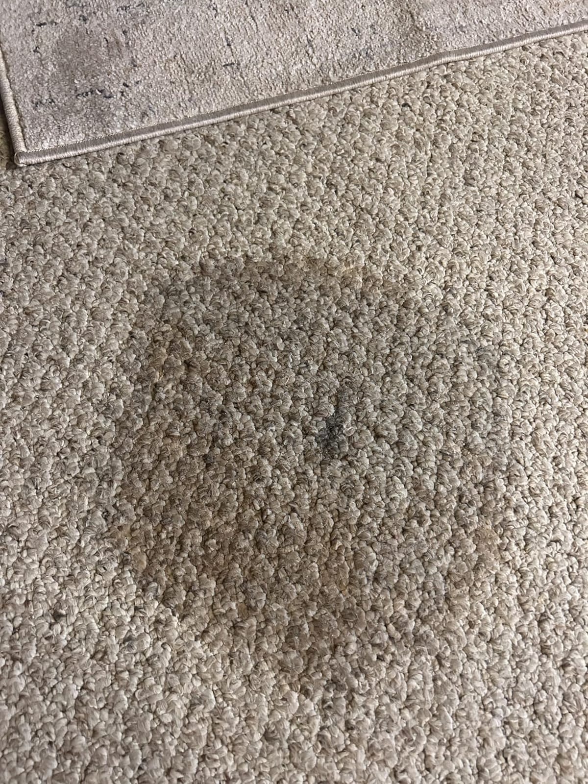 Hoover CleanSlate Plus Portable Carpet + Upholstery Spot Cleaner Machine customer photo 1