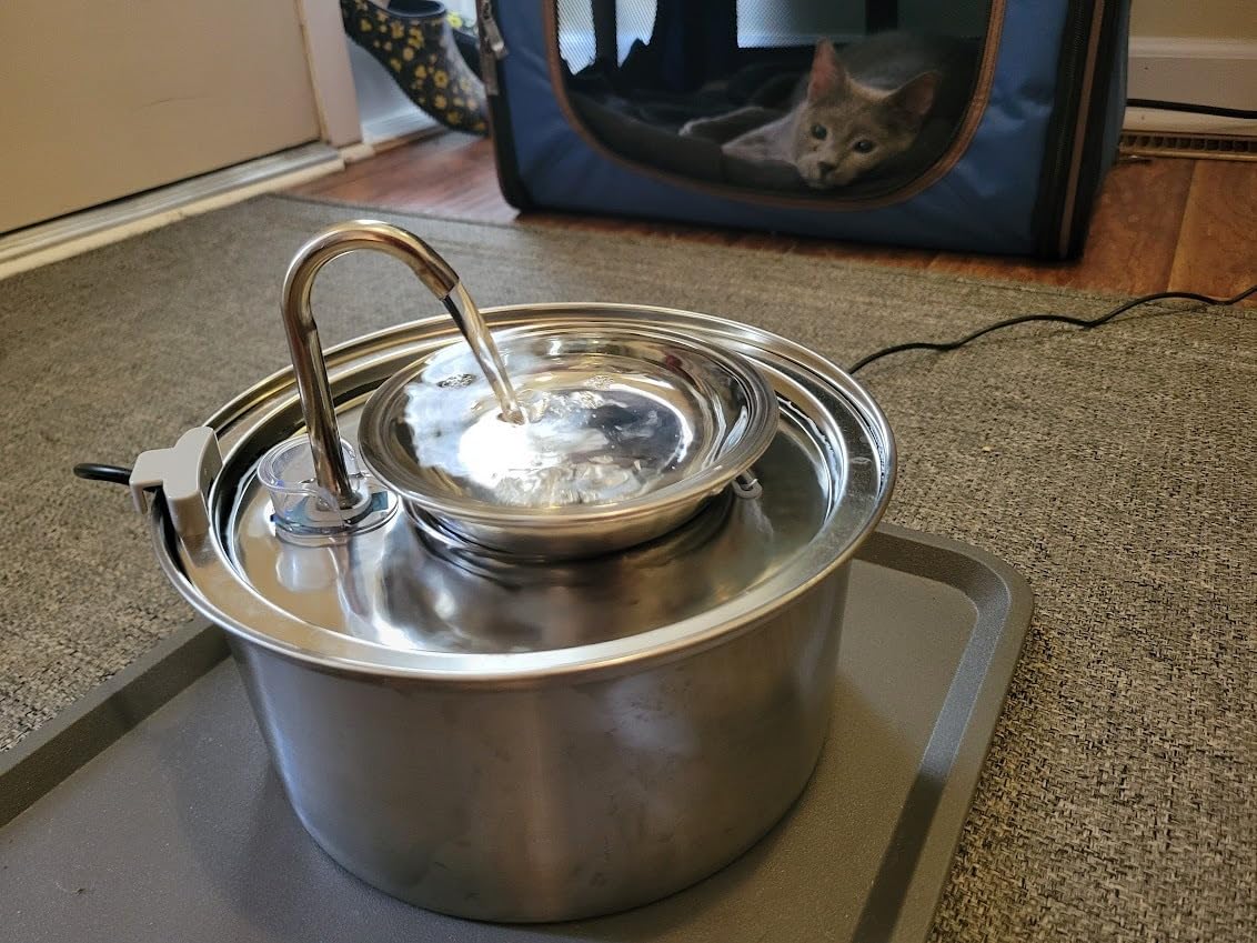 Tomxcute Cat Water Fountain Stainless Steel, 108oz/3.2L Pet Fountain customer photo 1