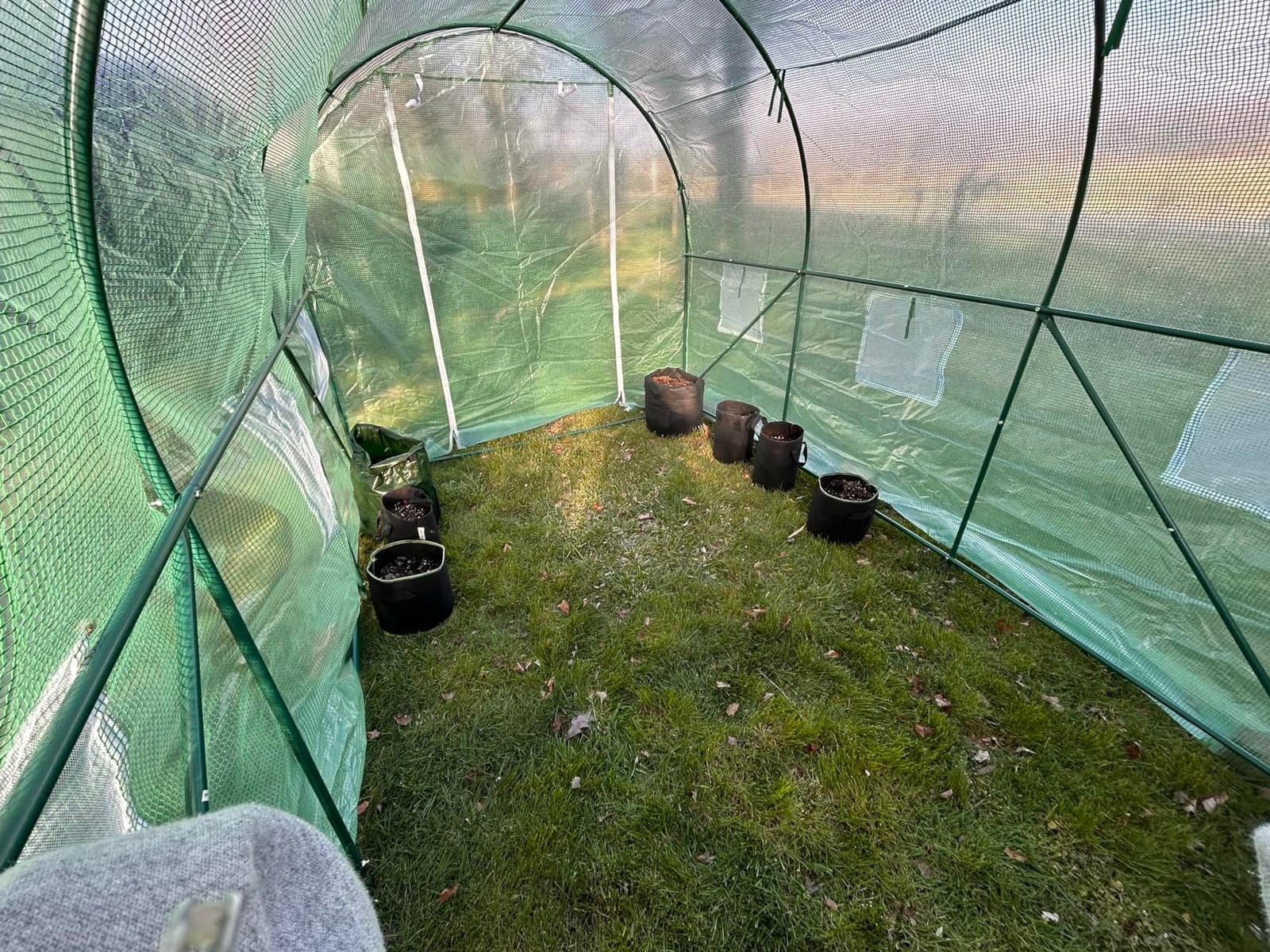 10'x7'x7' Green House Portable Greenhouse Large Walk-in Greenhouses for Outdoors Greenhouse Plastic with Observation Windows and Rolling-up Door customer photo 2