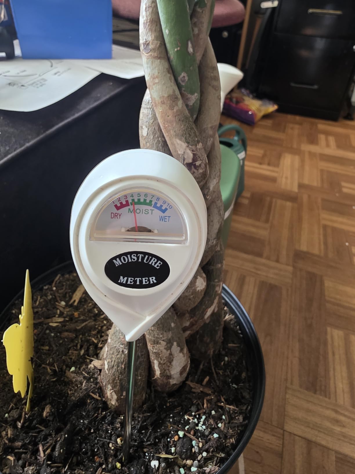 Censinda Soil Moisture Meter, Soil Moisture Monitor for House Plants, Soil Hygrometer Moisture Sensor for Indoor & Outdoor, Garden, Farm, Lawn Plant Care, No Battery Needed(White) customer photo 2