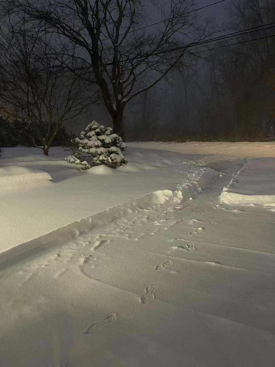 Snow Joe 24V Cordless Snow Shovel Kit with Cover and Scraper, 24V-SS13-TV1 customer photo 1