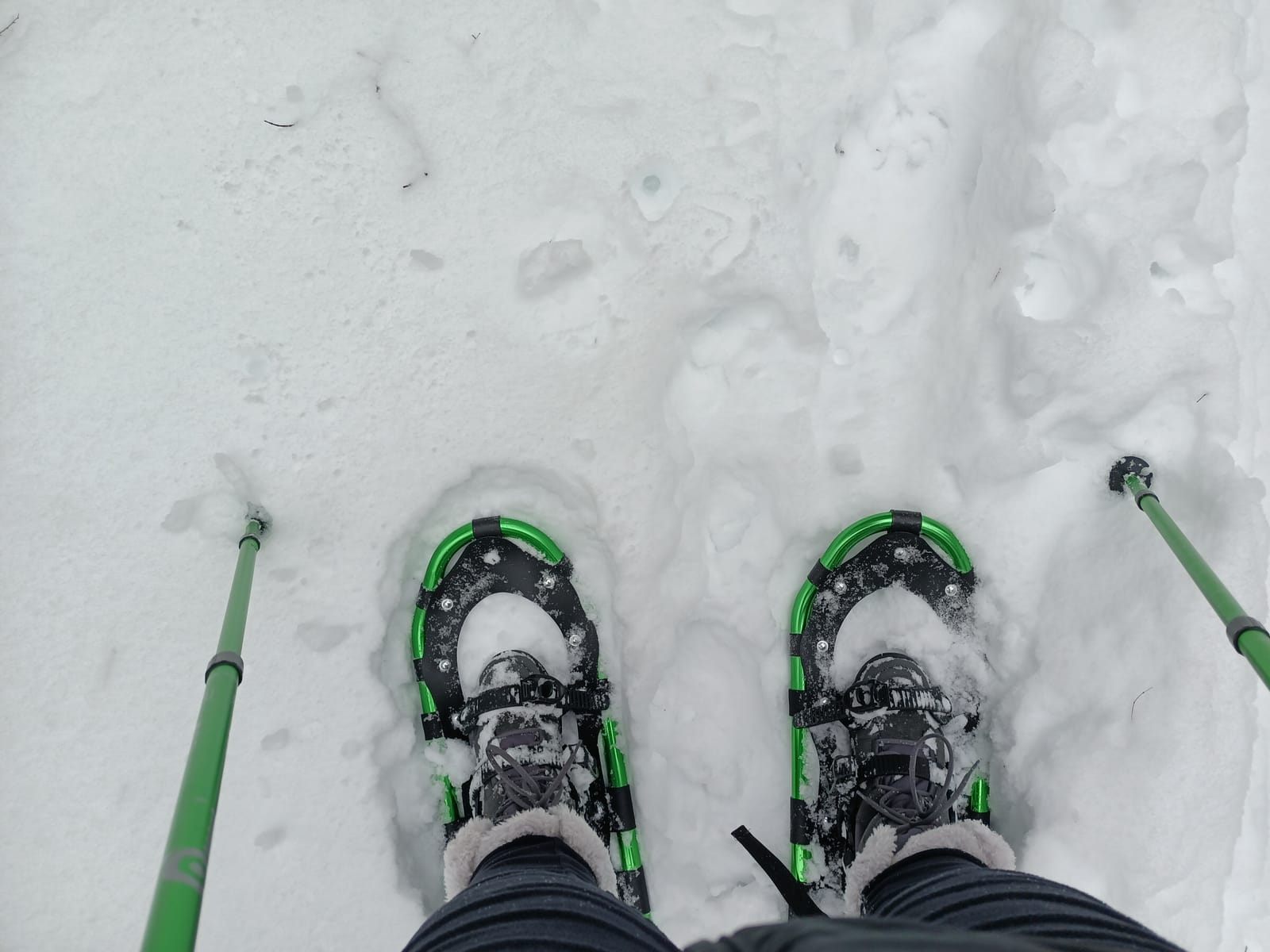 Odoland 21/25/30 Inch Snowshoes with Trekking Poles for Men Women Youth, Waterproof Snow Leg Gaiters and Carrying Bag, Lightweight Aluminum, Heel Lift, Snow Shoes Easy to Wear customer photo 1