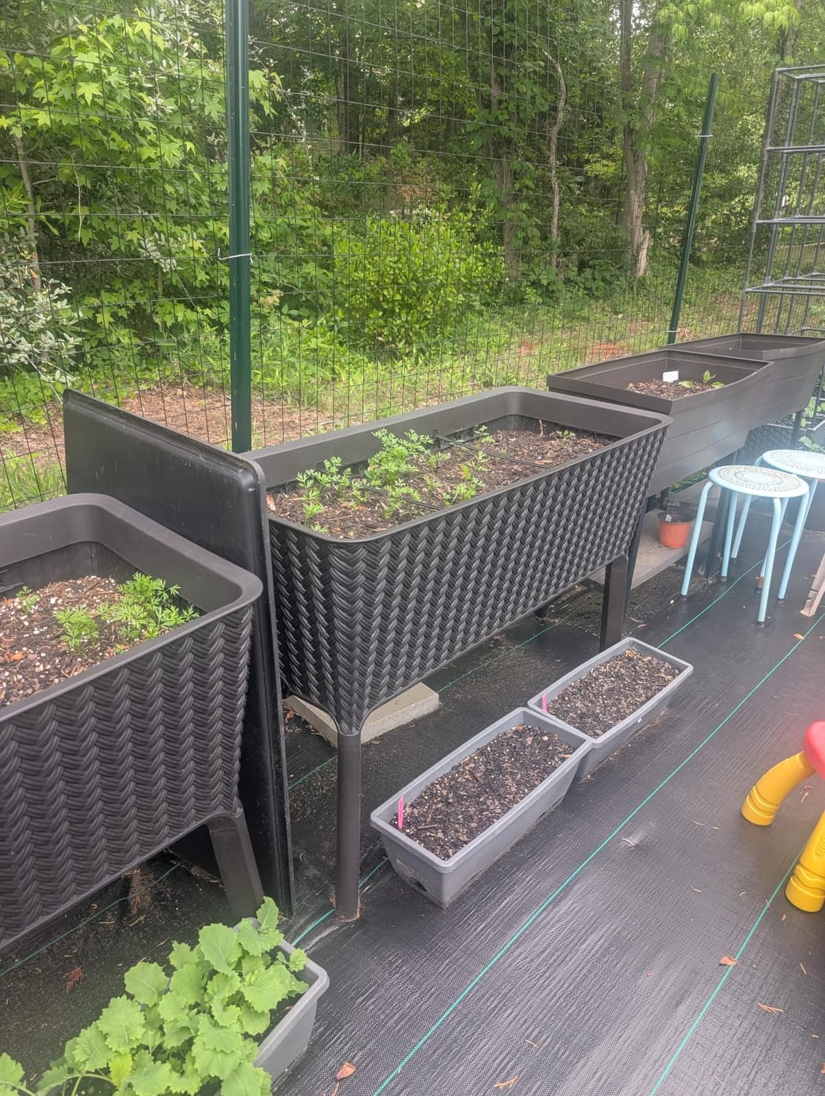 Keter Splendor 31.7 Gallon Raised Garden Bed with Self Watering Planter Box and Drainage Plug-Perfect for Growing Fresh Vegetables, Flowers and Herbs, Brown customer photo 1