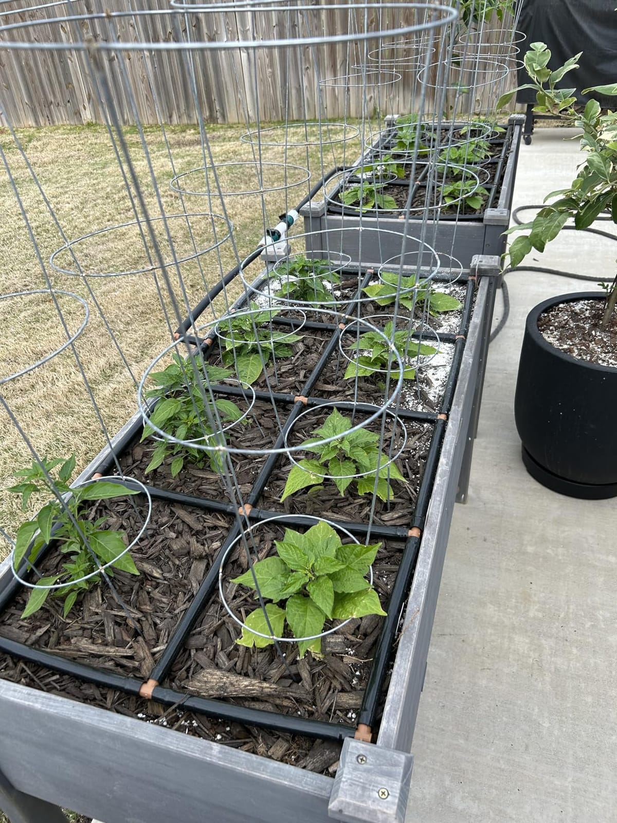 Garden Grid 3x6 | Raised Garden Irrigation System | Prebuilt, No Dry Spots customer photo 1