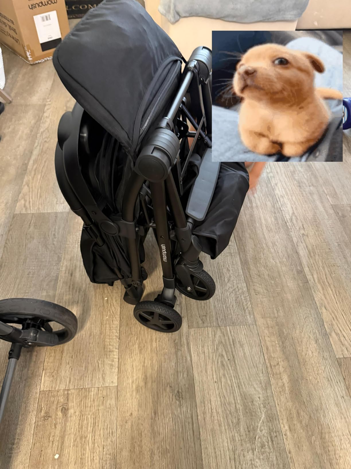 Mompush Lithe V2 Lightweight Travel Stroller Snack Tray Included, Forest customer photo 2