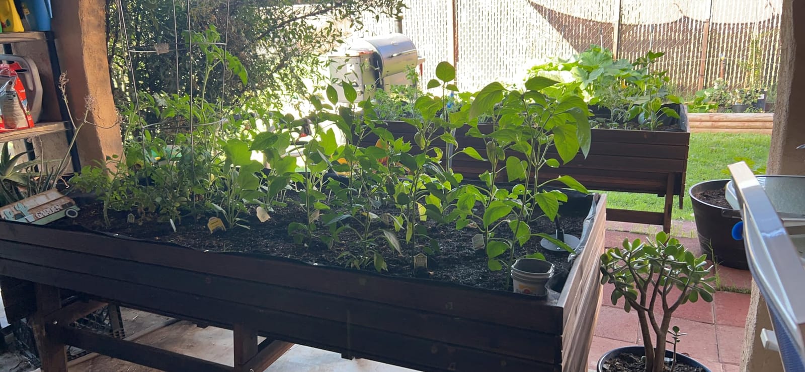 MUPATER 6x3x2FT Cedar Raised Garden Bed for Outdoor, Raised Garden Bed wit 6 Legs, 837lbs Large Elevated Garden Planter Box with Liner for Herbs,Vegetables, Rustic customer photo 2