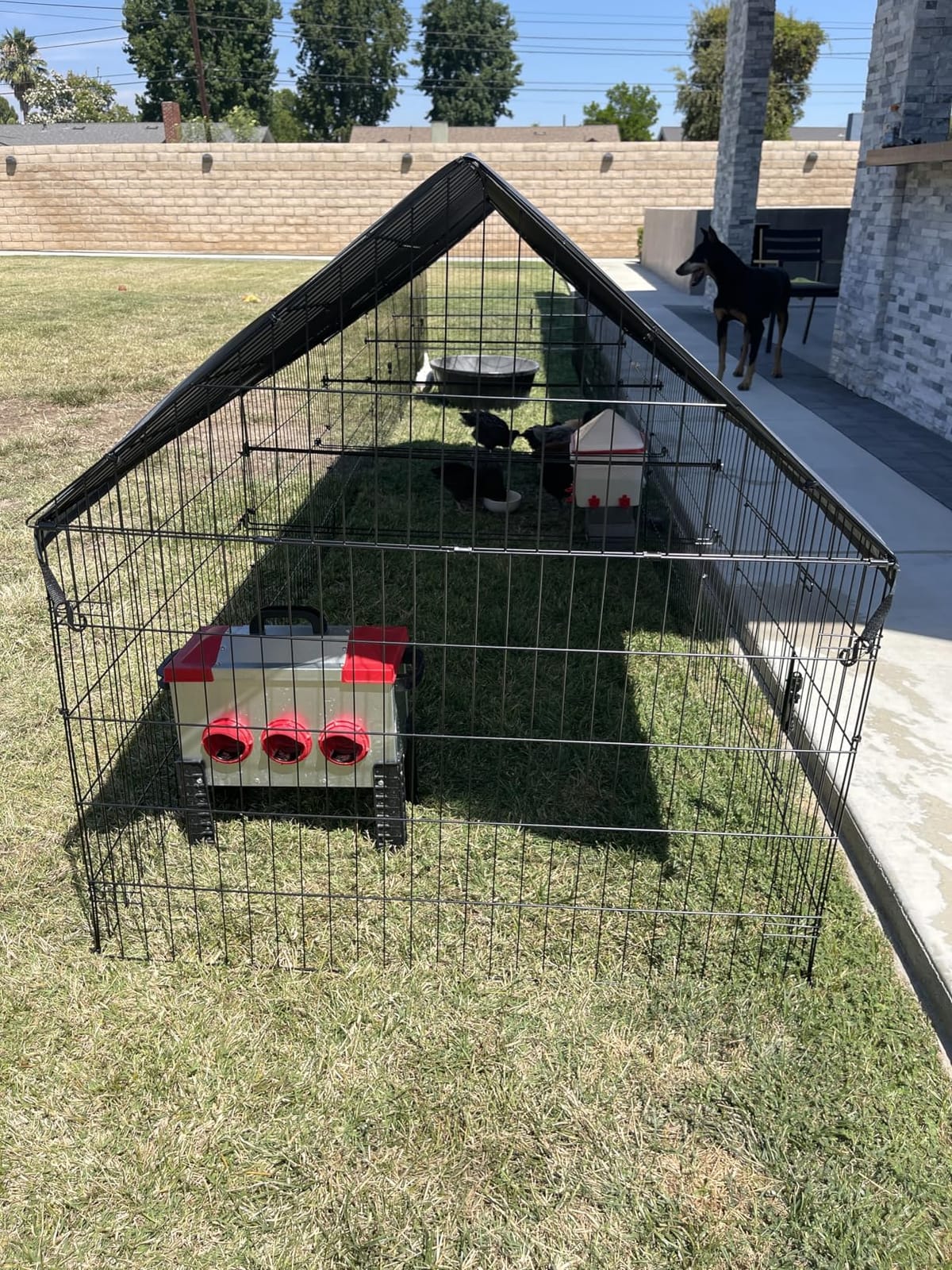 Chicken Coop, 130