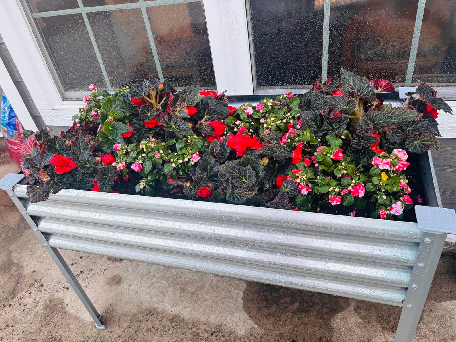 Land Guard Galvanized Raised Garden Bed with Legs, 48×24×32in Large Metal Elevated Raised Planter Box with Drainage Holes for Backyard, Patio, Balcony, 700lb Capacity customer photo 1