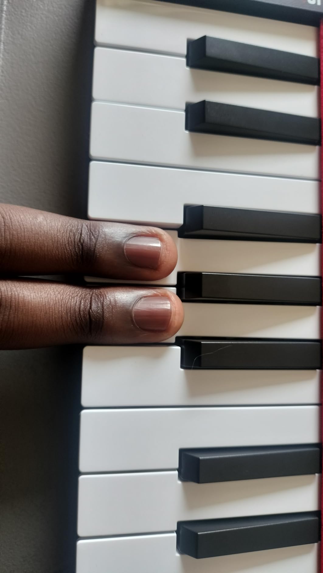 Akai Professional LPK25 25-Key USB MIDI Keyboard Controller customer photo 2