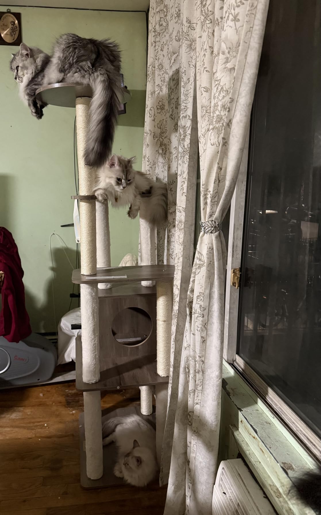 Feandrea Cat Tree, 64.6-Inch Multi-Level Tower with 5 Scratching Posts customer photo 1