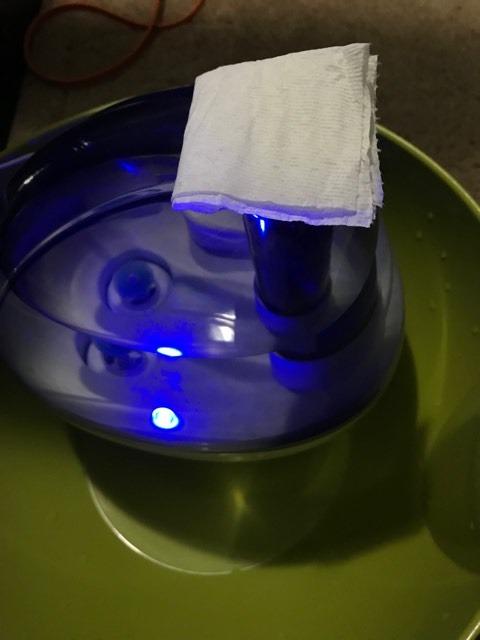 Pure Enrichment PureBaby Ultrasonic Cool Mist Humidifier customer photo 1