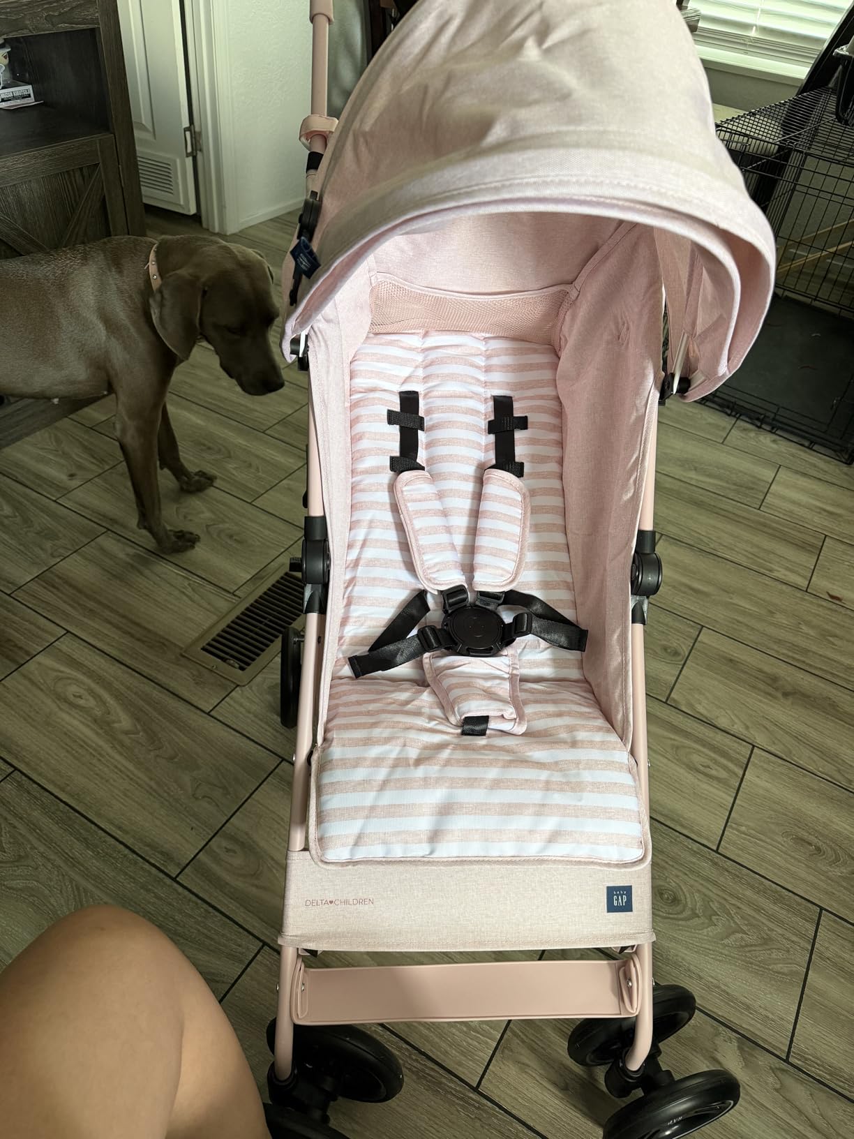 babyGap Classic Stroller - Lightweight Stroller with Recline, Compact Fold & Removable Parent Organizer - Made with Sustainable Materials, Pink Stripes customer photo 2