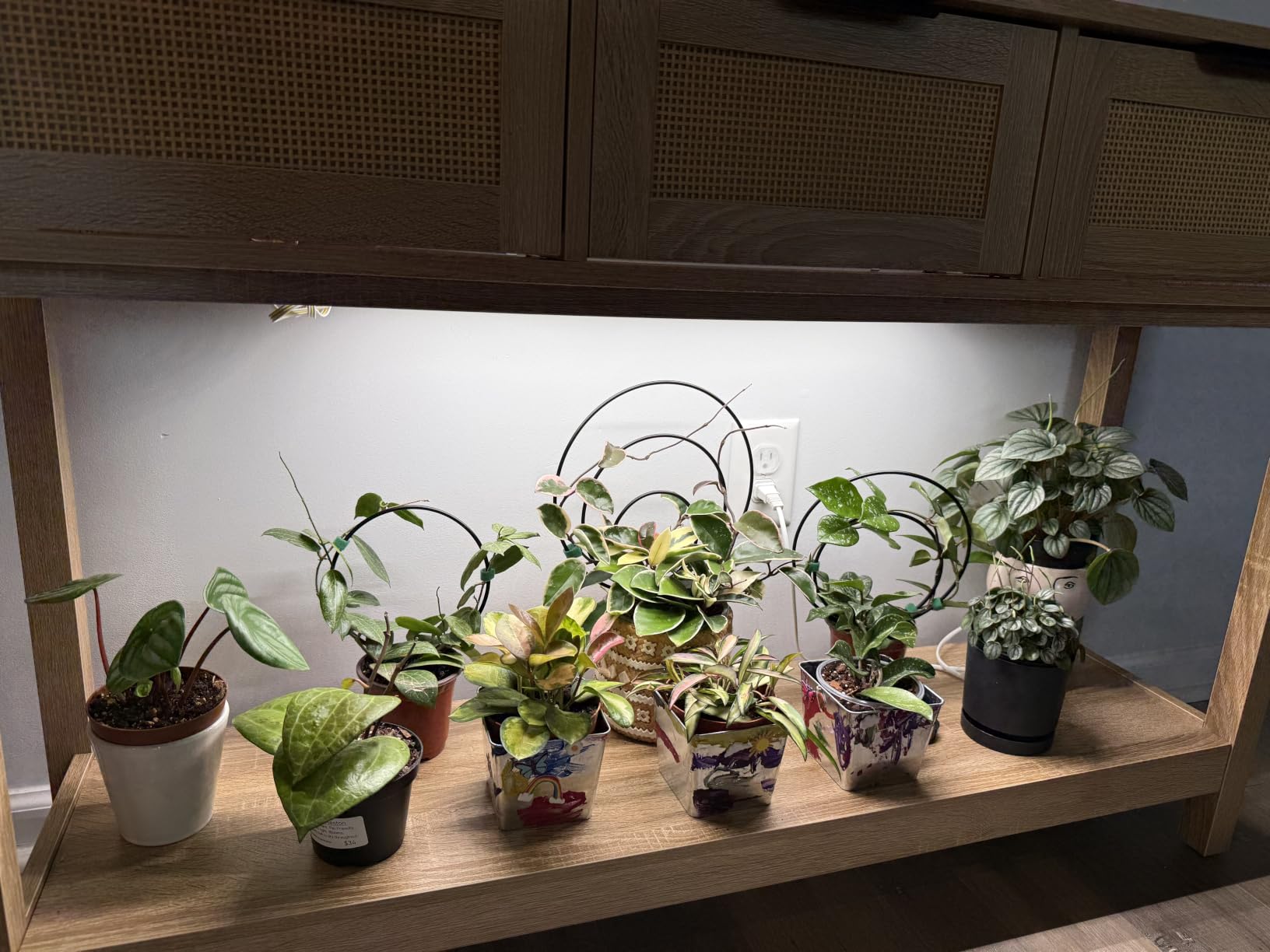 Barrina T5 Grow Lights for Indoor Plants, 5000K Full Spectrum, 1FT, 4 Packs customer photo 1