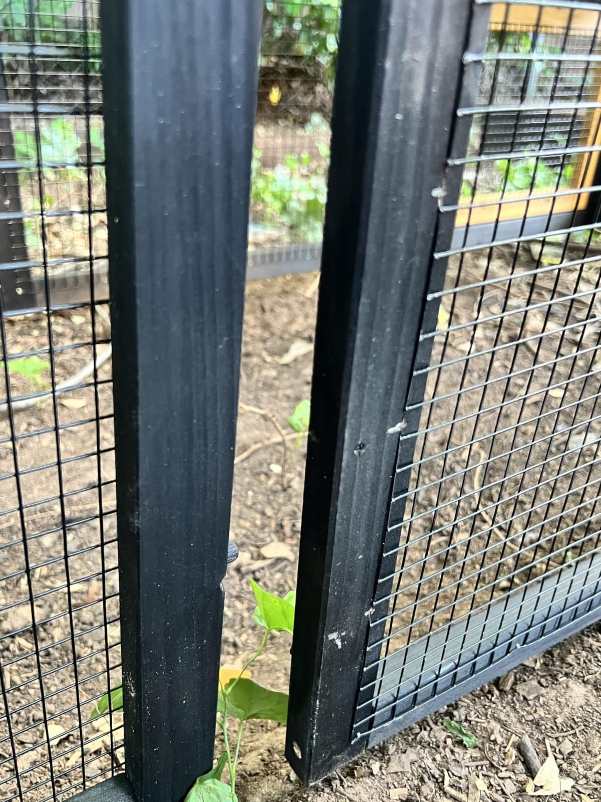 Petsfit Large Chicken Coop with Upgraded Perches, Wooden Outdoor Chicken Cage with Large Nesting Box, Weatherproof Open Asphalt Roof &Removable Bottom, Duck House, Rabbit Hutch customer photo 1