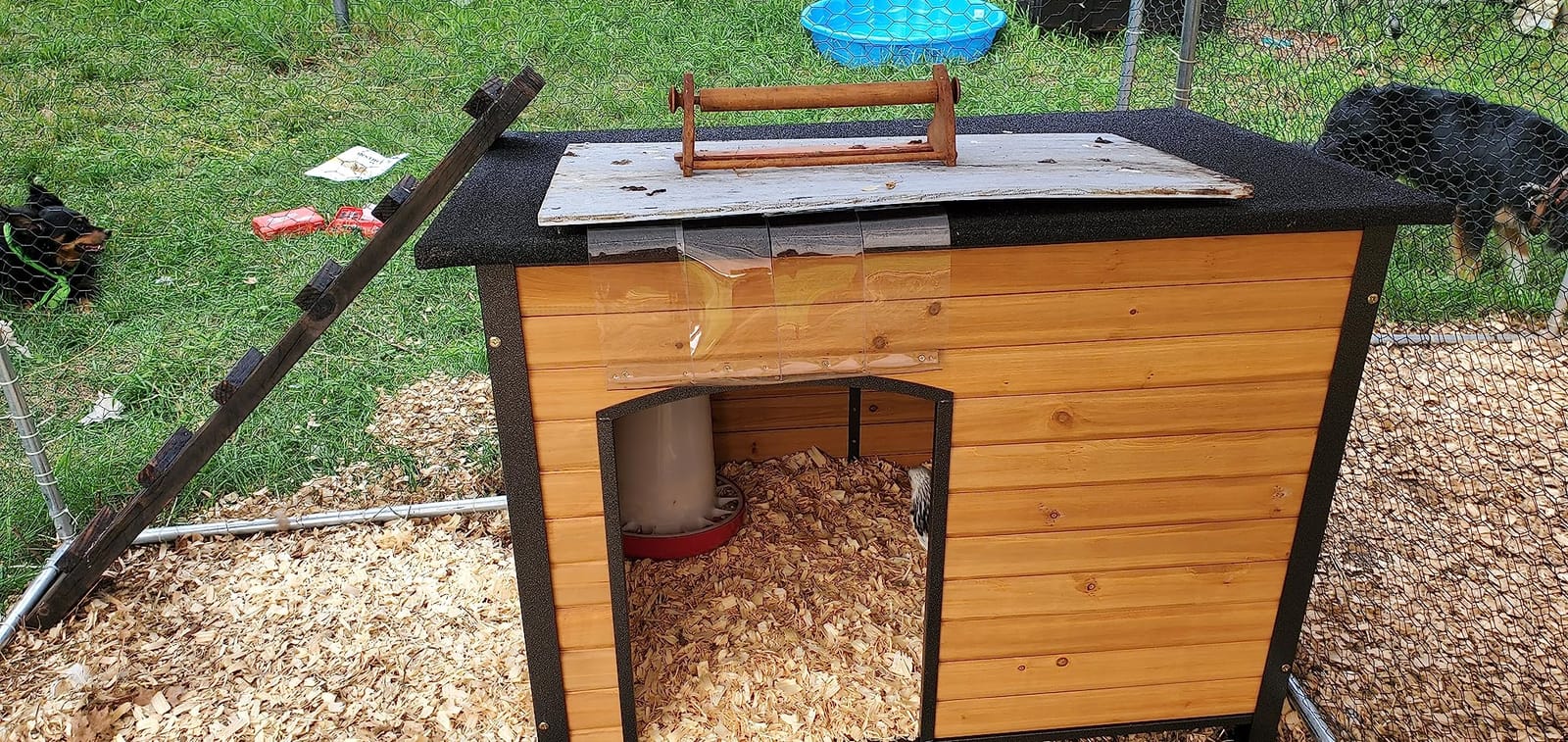 Aivituvin Insulated Dog House Outdoor & Indoor Wooden Dog Kennel for Winter with Raised Feet Weatherproof for Small & Medium & Large Dogs,Unique All-Around Iron Frame… customer photo 1