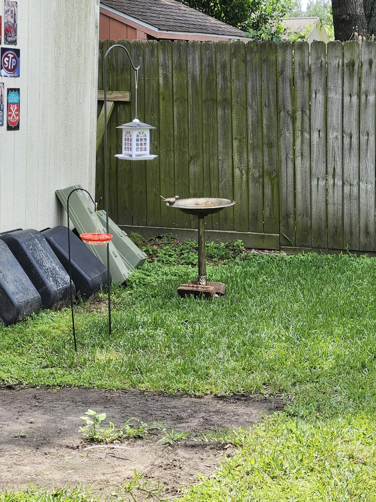 BACKYARD EXPRESSIONS PATIO · HOME · GARDEN 912449-WB Outdoor Garden Bird Bath- Bronze- Weather Resistant Polyresin-30 Inch-Backyard Expressions customer photo 1