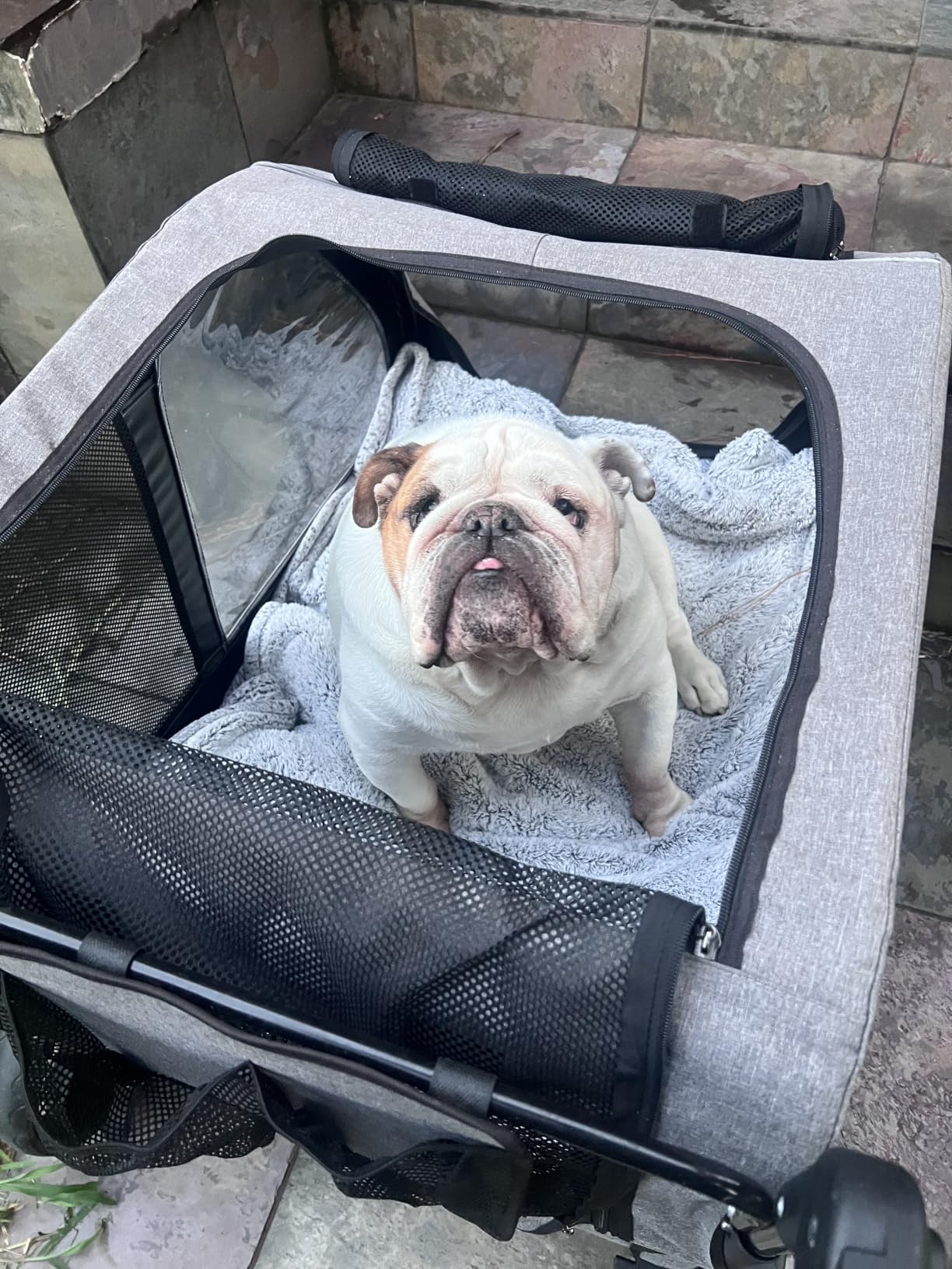 Saudism Dog Stroller for Large & Medium Dogs, Extra Large Pet Stroller, Dog Wagon for 2 Dogs, Foldable Design, Adjustable Handle, with Pocket, Up to 130 lbs customer photo 1