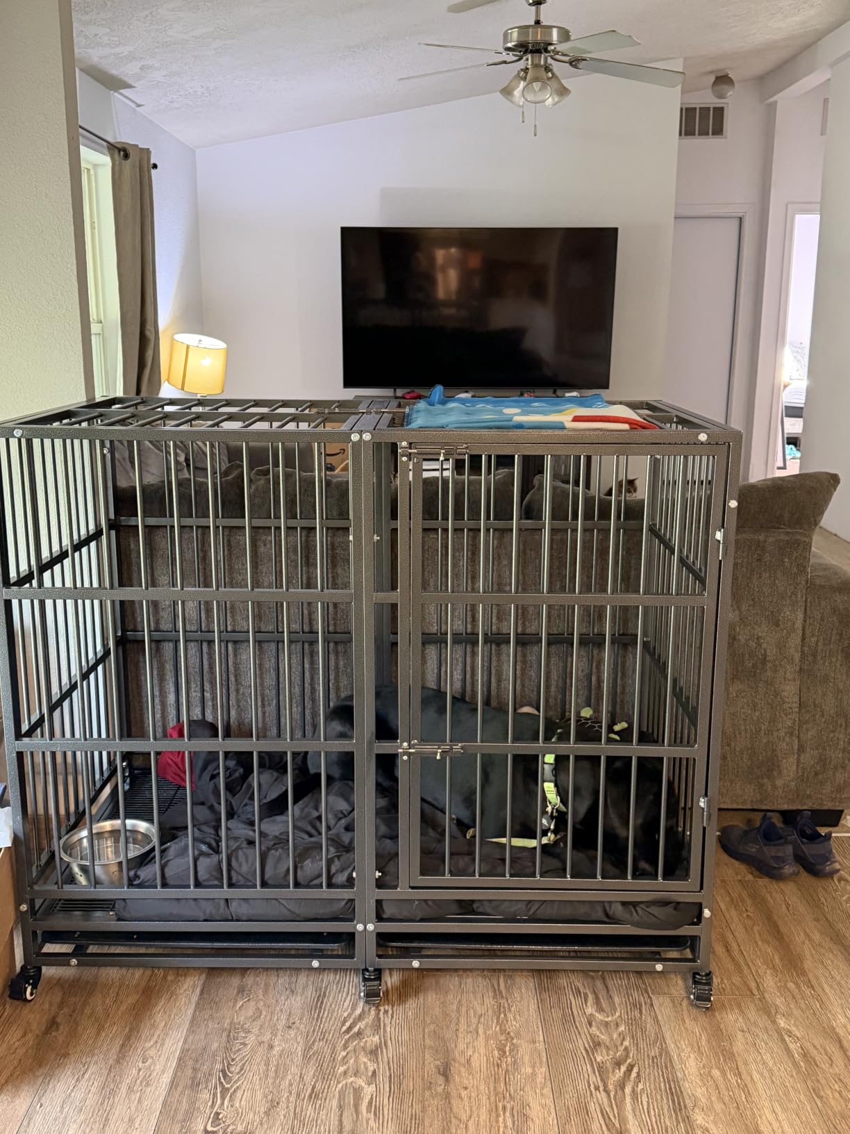 BOLDBONE 48 inch Heavy Duty Indestructible and Escape-Proof Dog Crate Cage Kennel for Large Dogs, High Anxiety Dog Crate with Removable Wire Trays and Wheels, Extra Large XL XXL, Black customer photo 1