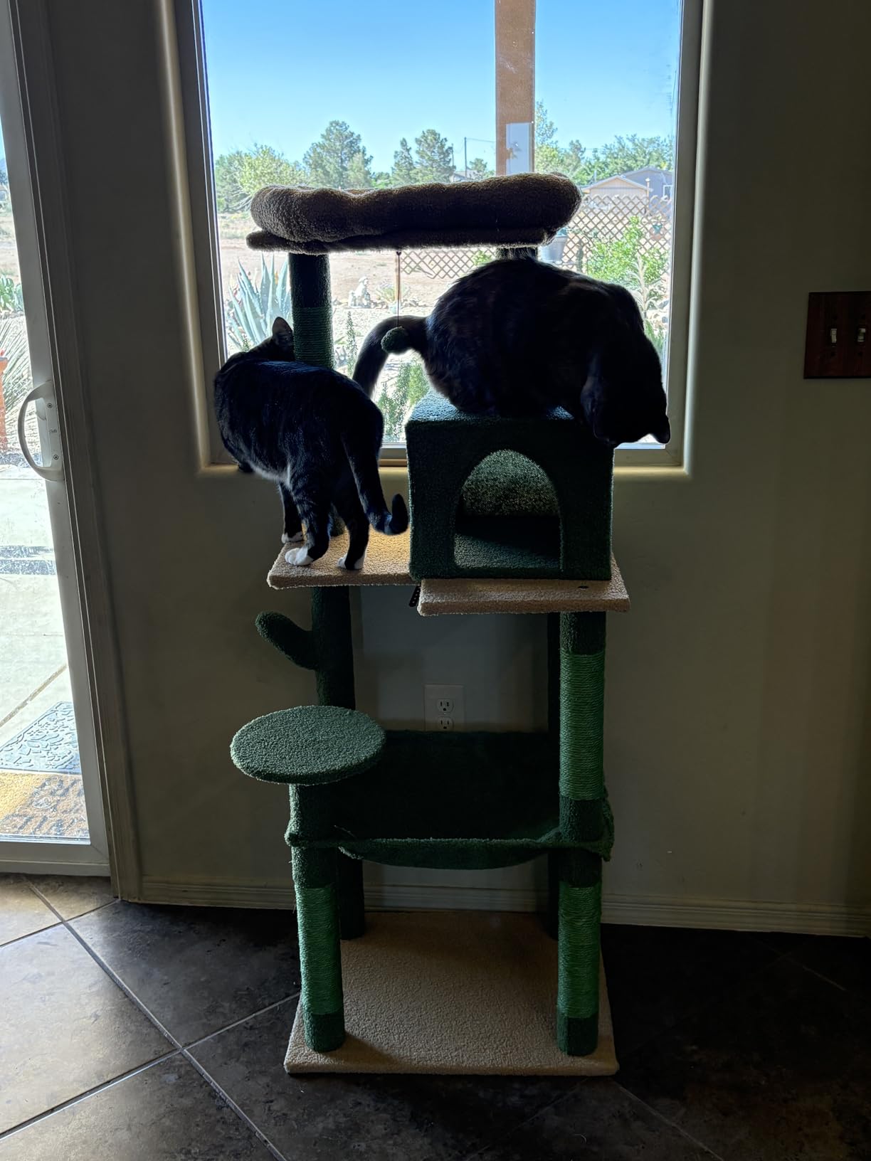 MUTTROS Cat Tree for Large Cats Adult with Metal Plush Big Hammock, 56.3