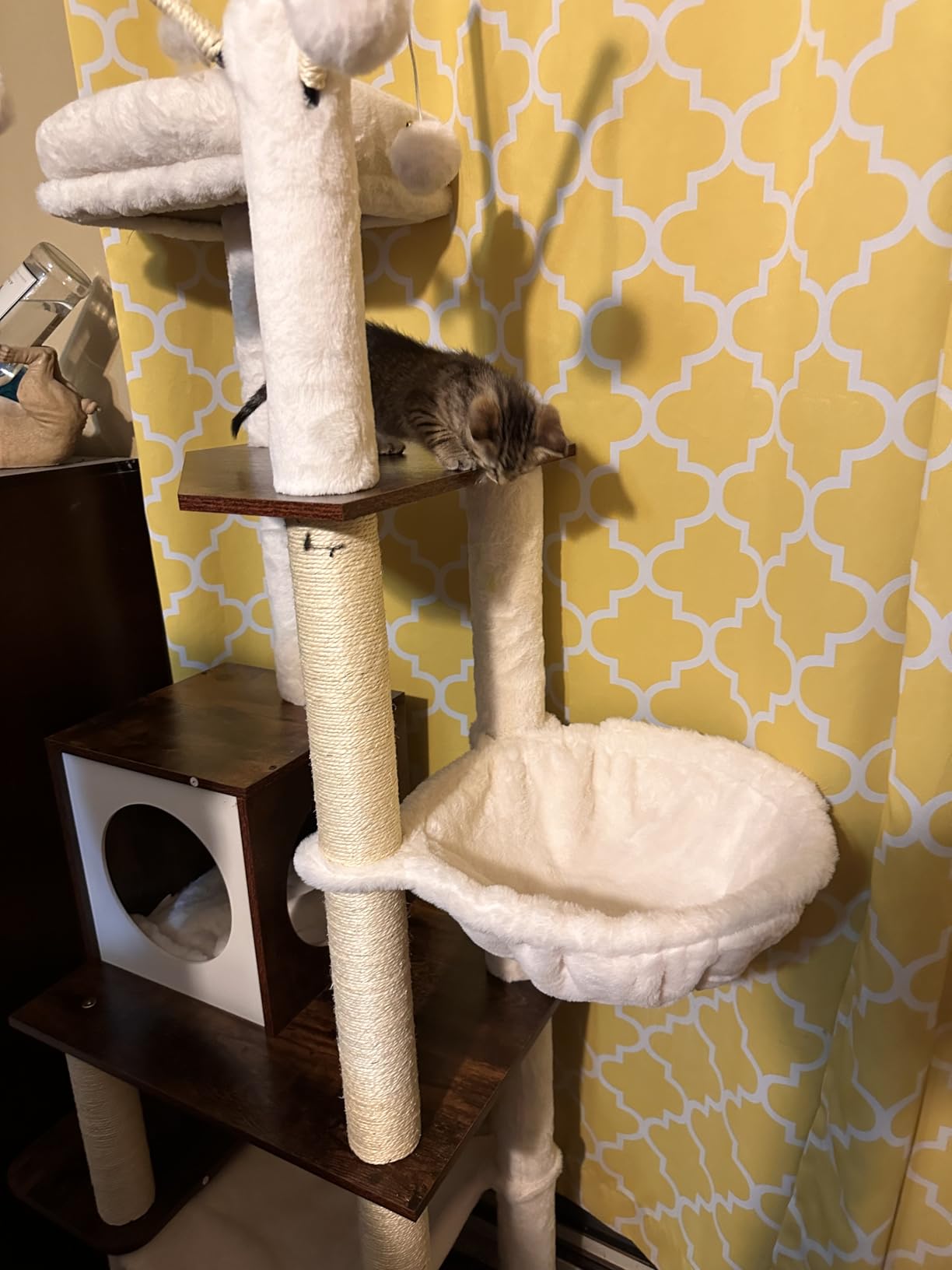 Hey-brother Wooden Cat Tree Tower with Hammock for Indoor Cats, MPJ120SR customer photo 1