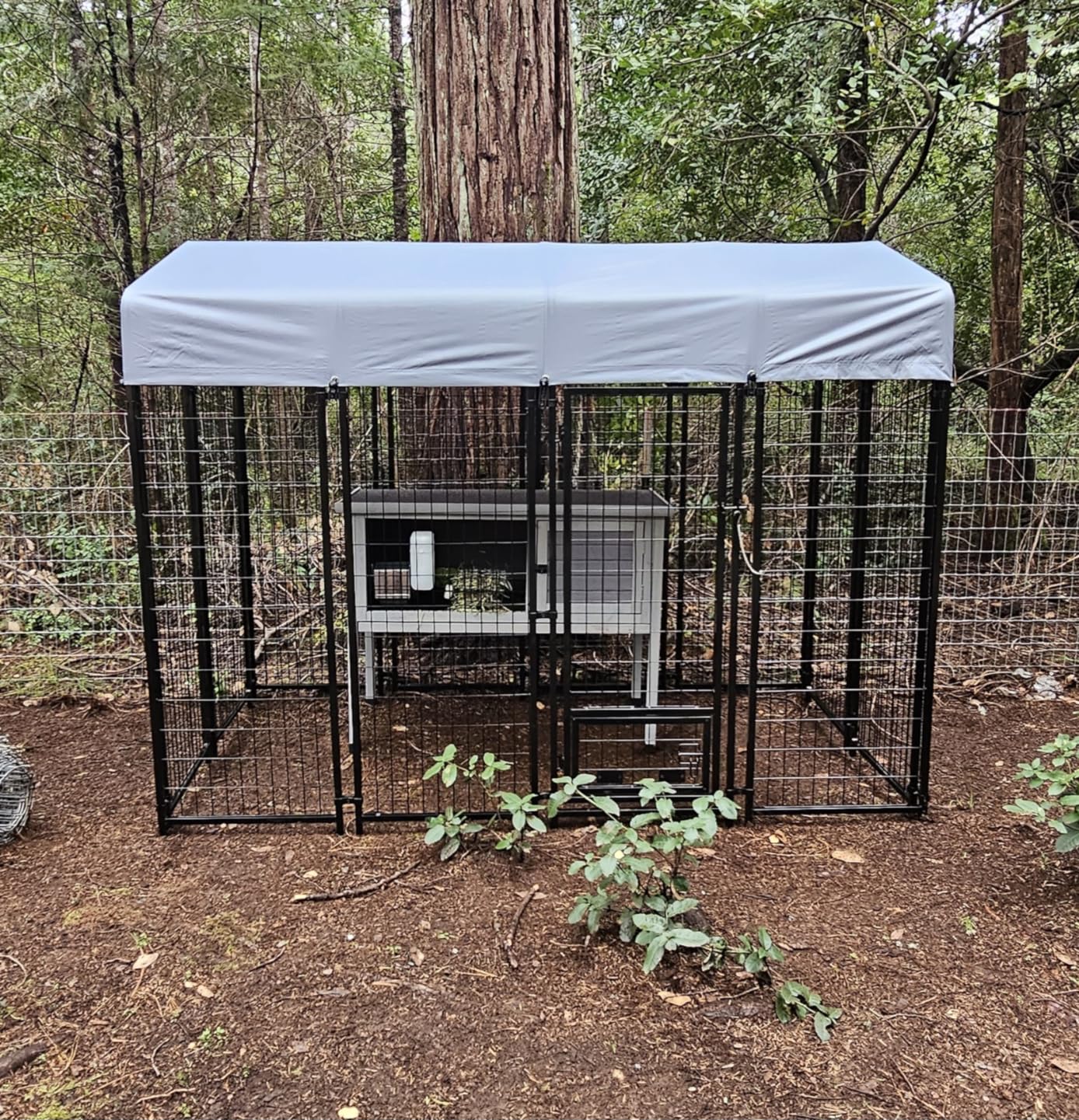 LEMBERI 8x4x6FT Outdoor Dog Kennel for Large Dogs, Heavy Duty customer photo 2