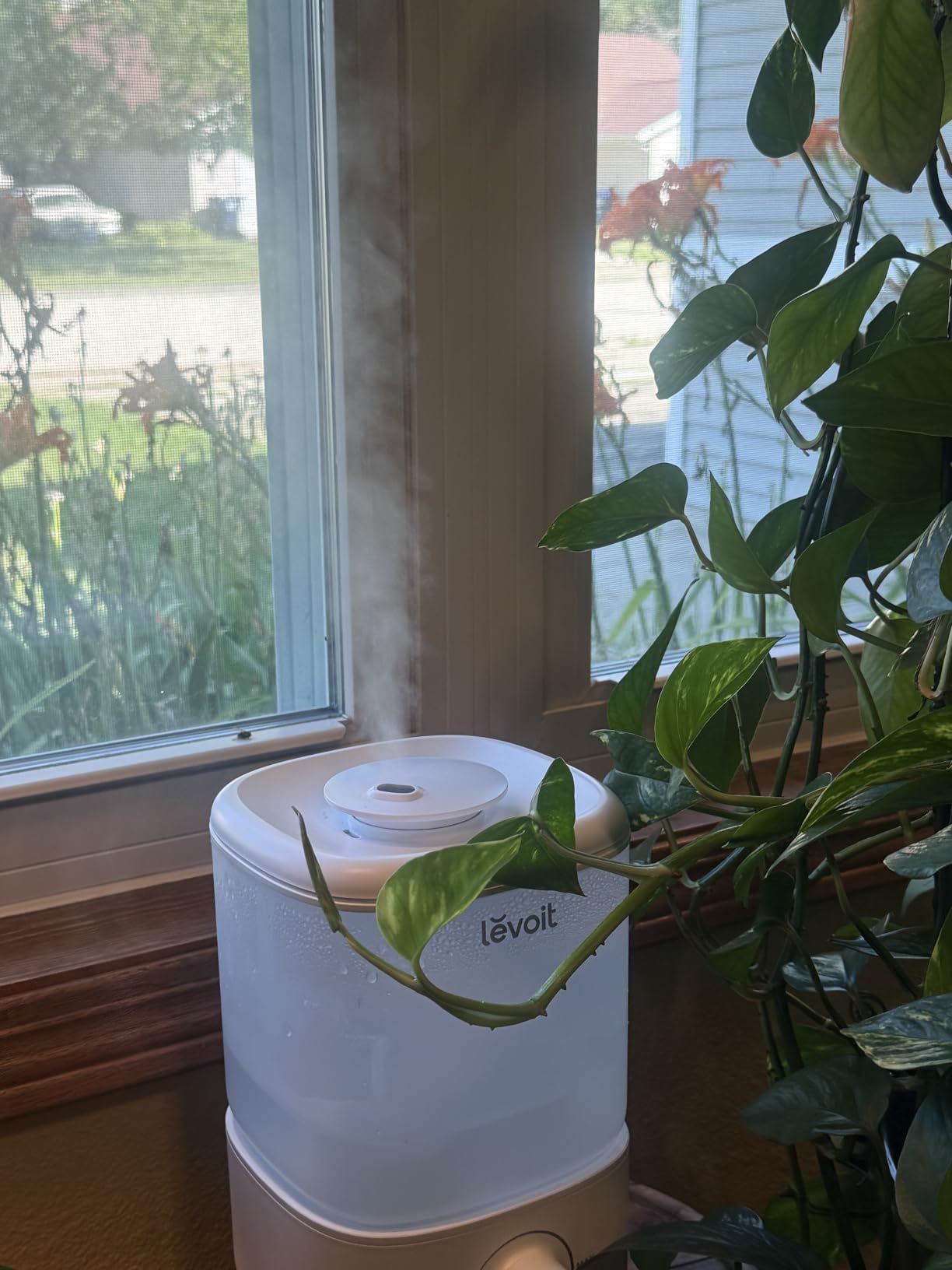 Levoit Top Fill Humidifiers for Bedroom, 2.5L Tank for Large Room, 25dB customer photo 1
