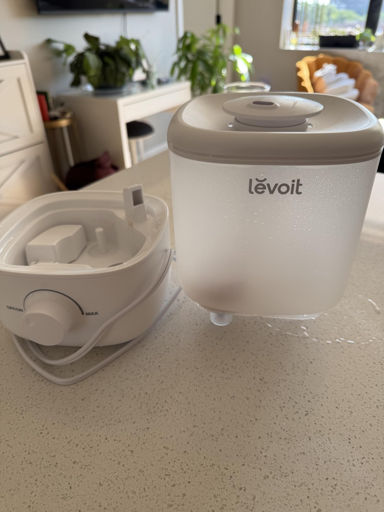 Levoit Top Fill Humidifiers for Bedroom, 2.5L Tank for Large Room, 25dB customer photo 2