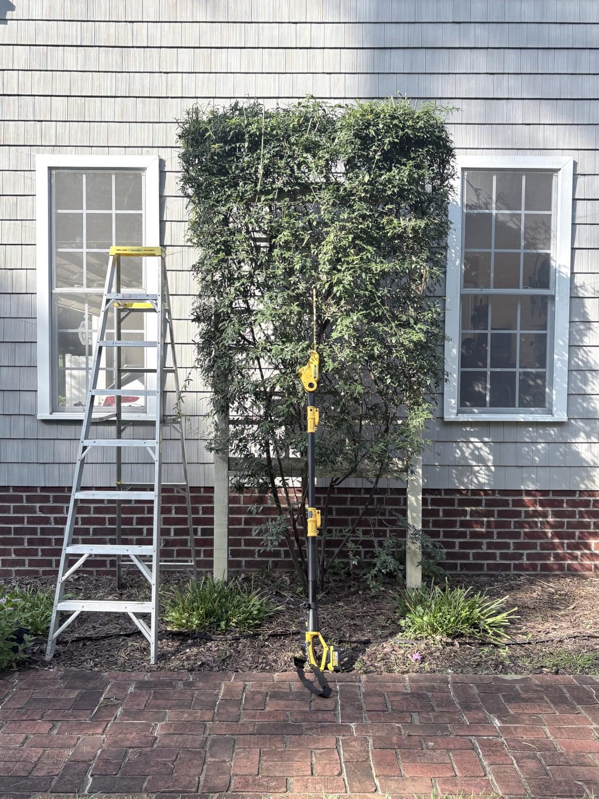 Alloyman 20V 2-in-1 Cordless Pole & Handheld Hedge Trimmer,Electric Hedge Trimmer with 2 Packs 4.0Ah Battery & Charger,8.5-Feet Reach, 11 Rotating Head Hedge Trimmers for Shrub Pruning customer photo 1
